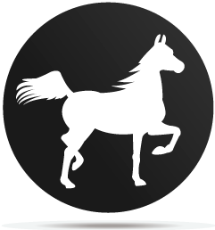 0133011gobo animal horse