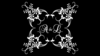 Digital Gobo Wedding Flower Classic