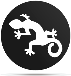 0133013 gobo animal lizard