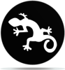 Gobo Animal Lizard