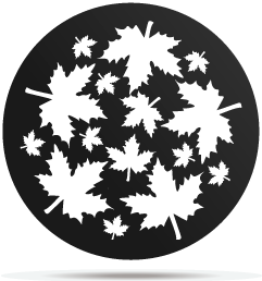 1333002 gobo plants 02