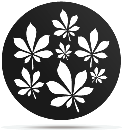 1333006 gobo plants 06