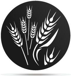 1333014 gobo plants 14