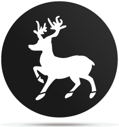 0533001 gobo christmas reindeer